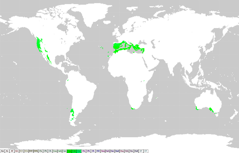 Zone geografiche a clima mediterraneo