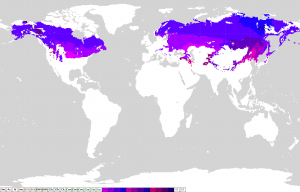 Mappa clima boreale
