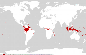 Mappa clima tropicale